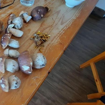 Appartement Vercors 4 Personnes Autrans-Meaudre-en-Vercors Dış mekan fotoğraf