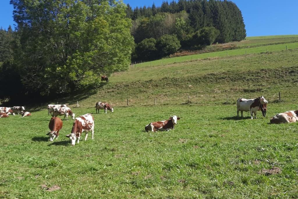 Appartement Vercors 4 Personnes Autrans-Meaudre-en-Vercors Dış mekan fotoğraf